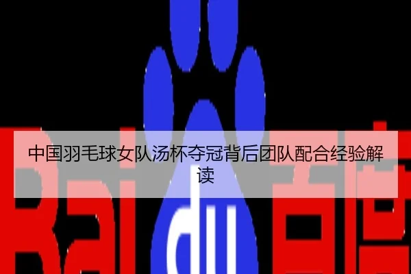 中国羽毛球女队汤杯夺冠背后团队配合经验解读