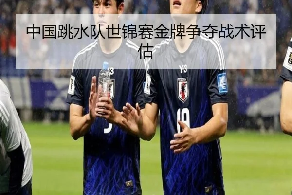 中国跳水队世锦赛金牌争夺战术评估